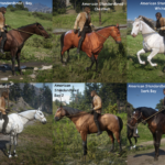 New-Horse-Coats4
