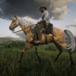 New-Horse-Coats4