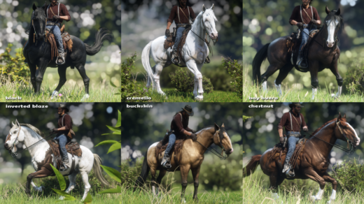 New-Miscellaneous-Horse-Coats-1024x576-1