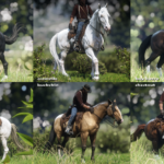 New-Miscellaneous-Horse-Coats