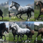 New-Miscellaneous-Horse-Coats2