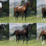 New-Miscellaneous-Horse-Coats3