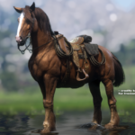 New-Miscellaneous-Horse-Coats4