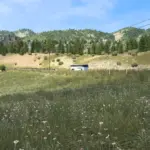 New Summer v4.22