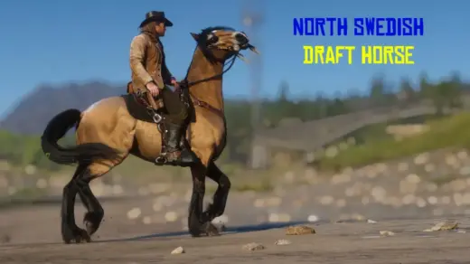North-Swedish-Draft-Horse-1024x576-1