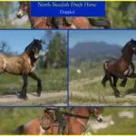 North-Swedish-Draft-Horse2-scaled-1
