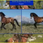North-Swedish-Draft-Horse3-scaled-1