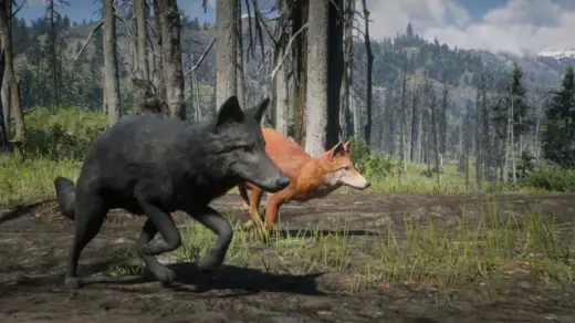 Online-Coyotes-Unlocked-for-SP-1024x576-1