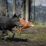 Online-Coyotes-Unlocked-for-SP