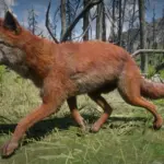 Online-Coyotes-Unlocked-for-SP3