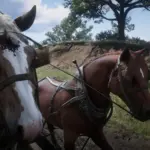 Online-Dead-Horses-Restored2