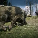 Online-Wild-Boars-Unlocked-for-SP