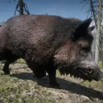 Online-Wild-Boars-Unlocked-for-SP3