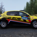 Peugeot 208 Rally 41