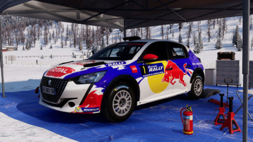 Peugeot 208 Rally4 Inspiration 306 Maxi S.Loeb3
