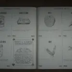 Real-Catalog-Rework3