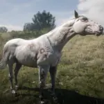 Realistic-Horse-Textures5