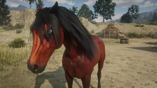 Red-Chestnut-Arabian-Enhanced-1024x576-1