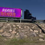 Roses Traffic Trailer Skins 1.0