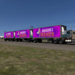 Roses Traffic Trailer Skins 1.0 3