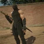Ryu-Hayabusa5