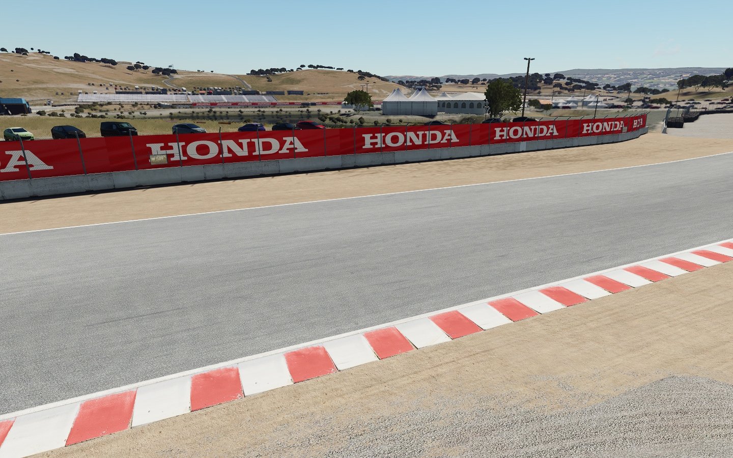 Skin Laguna Seca late 90s