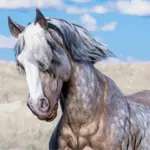 Space-Cowgirls-Horse-Pack-Vol.-25-scaled-1