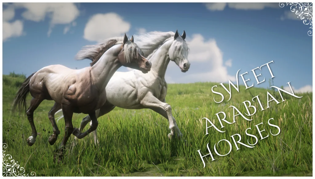 Sweet Arabian Horses V1.0
