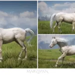 Sweet-Arabian-Horses3-scaled-1