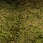 Terrain-Textures-Overhaul-TTO2