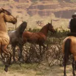 The-Kiger-Mustang4