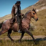 The-Updated-Morgan-Horse