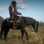 The-Updated-Morgan-Horse4