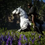 The-Updated-Nokota-Horse2