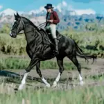 Thoroughbred-Pack2-scaled-1