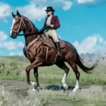 Thoroughbred-Pack3-scaled-1