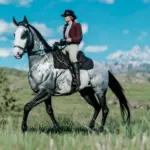 Thoroughbred-Pack4-scaled-1