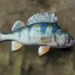 Upscaled-Fish5