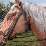 Upscaled-Horses2