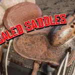 Upscaled-Saddles