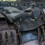 Upscaled-Saddles4