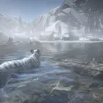 White-Tiger-Project2