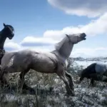 Wild-Horses-The-Pryor-Mustang2-scaled-1