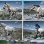 Wild-Horses-The-Pryor-Mustang5-scaled-1