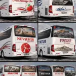 Yeni Travego 2020 - 2023 Anadolu Skin Pack v1.0