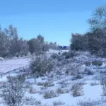 cover_frosty-winter-v105_wqrFK9GG2rOzzt