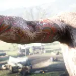 john-and-Arthur-get-tattoos4-scaled-1