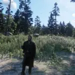 Arthur Morgan's New Outfits