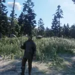 Arthur Morgan's New Outfits