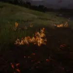 F.I.R.E. - Complete Fire and Flames Overhaul5